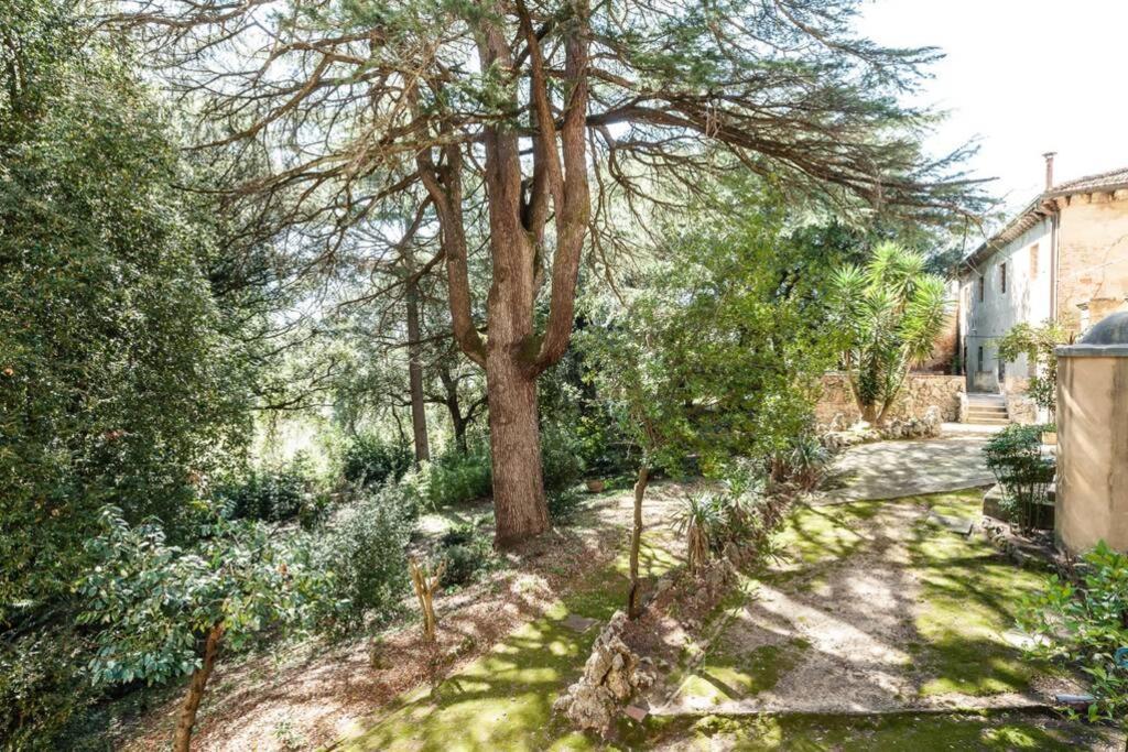 Villa Ott Crespina Exterior photo